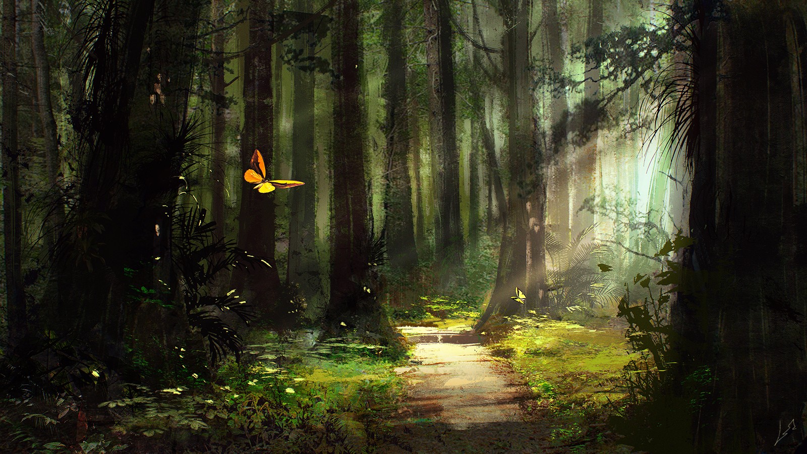 butterflies-flying-in-beautiful-forest-path.jpg